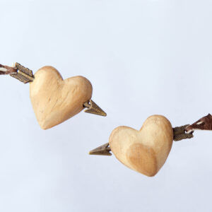 Boucles d'oreilles, Plumes et pacotilles par Sylvie Bernard